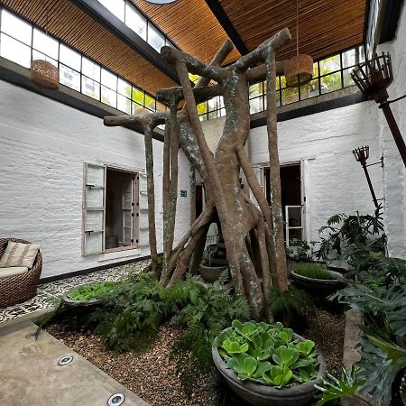 Mahi Casa Boutique Hotel กาลี ภายนอก รูปภาพ